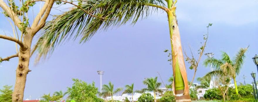 CB Garden & CB Water park