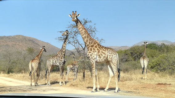 Greenstone Wildlife Estate