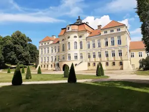 Dęby Rogalińskie