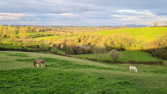 バンブリッジ・ゴルフ・ドライビング・レンジ