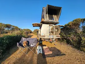 Tozer's Bush Camp