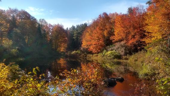 Runaround Pond Recreation Area