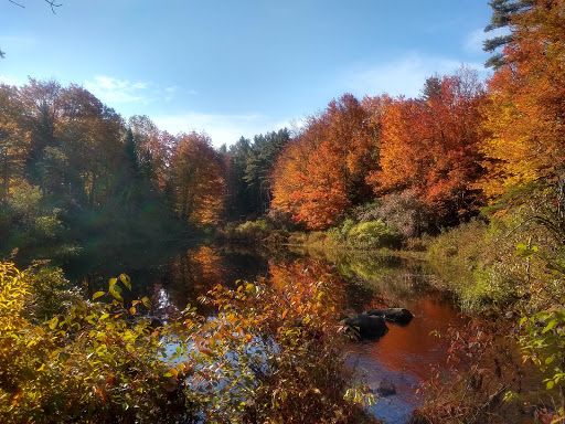 Runaround Pond Recreation Area