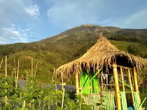 Mangli Skyview
