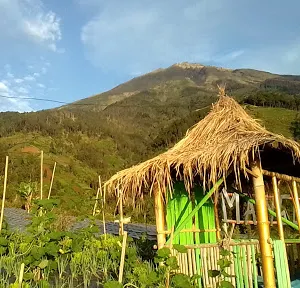 Mangli Sky View