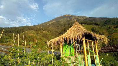 Mangli Skyview
