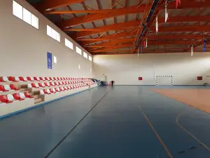 Hassa İlçe Stadyumu