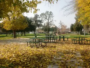 Cormack Park