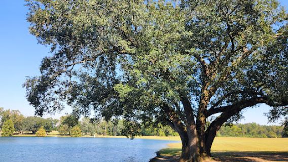 Eastgate Park