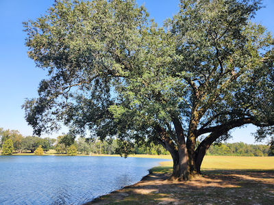 Eastgate Park