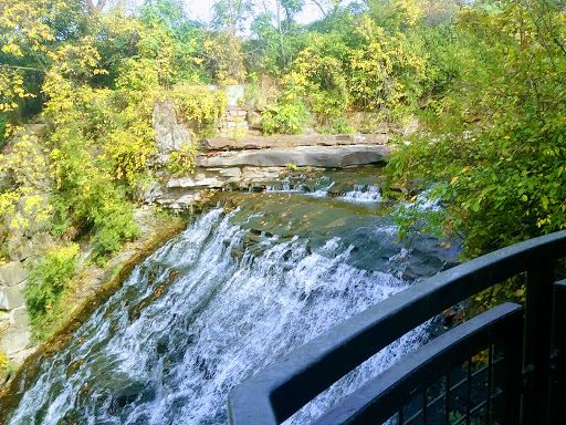 Garfield Park Reservation