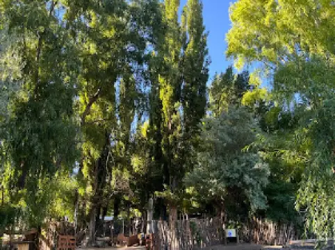 CAMPING RANQUIL-KO PAYUNIA