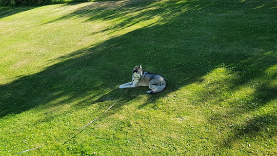 Dales Park Pavillion