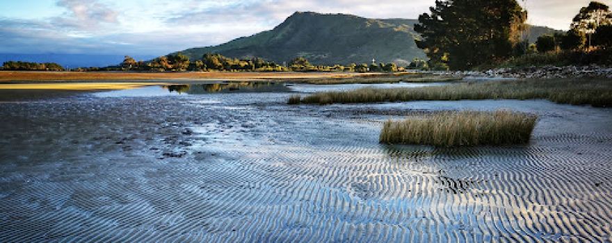 Pakawau Beach