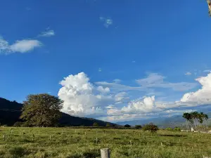 recreacional Park