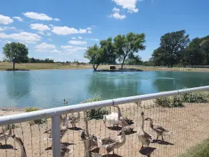 North Texas Safari Park