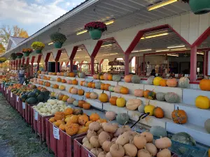 McDaniel Farms