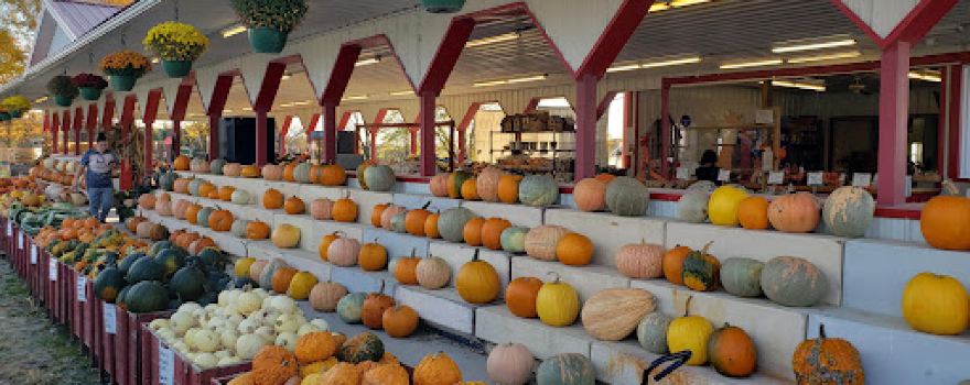 McDaniel Farms