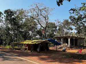Baital Rani Temple