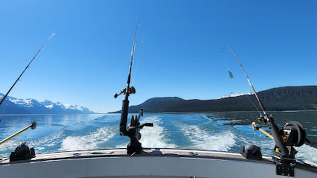 Carpe Diem Excursions