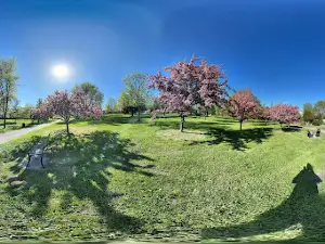 Bennett Park