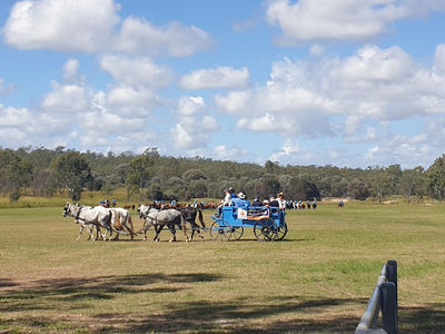 Eidsvold Showground