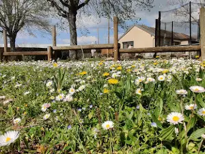Camping "Les Confluents" de Migennes