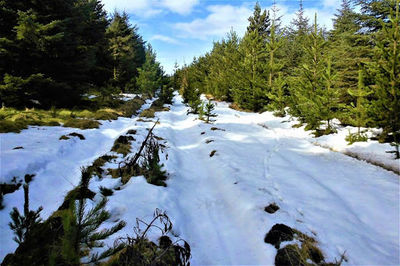 Kilbrannish Recreational Forest