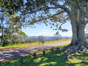 Gus Beutel Lookout