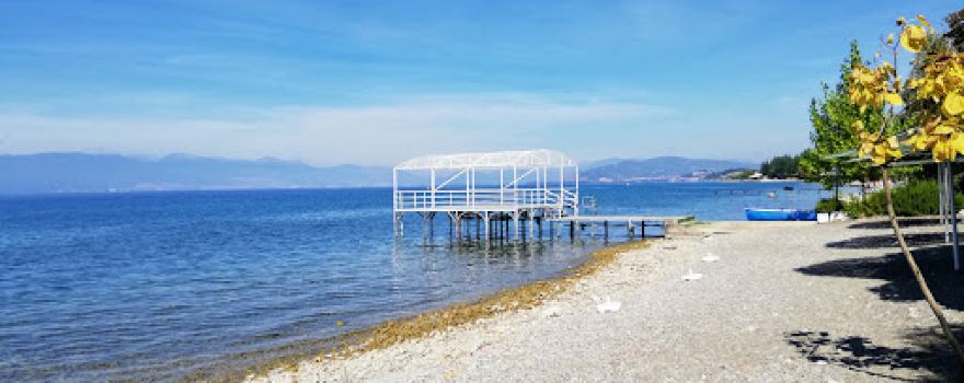 Green Paradise Beach