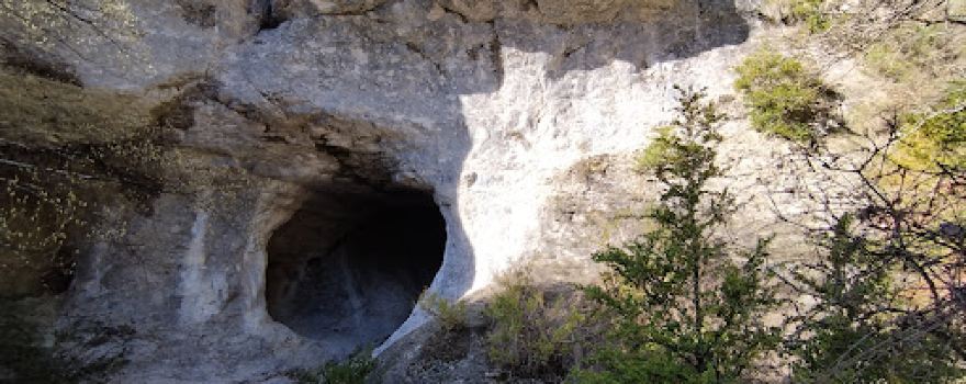 Natural Reserve Basaula