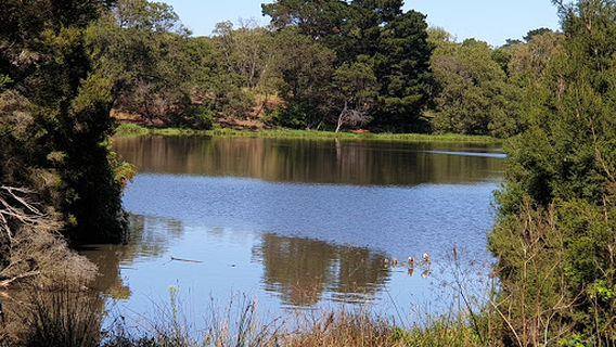 James Drysdale Reserve