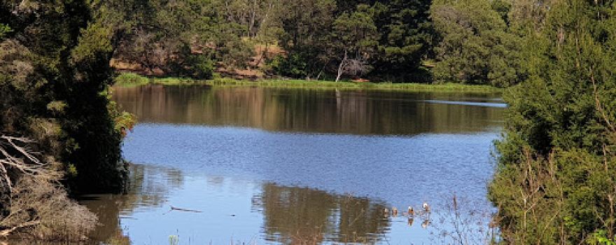 James Drysdale Reserve