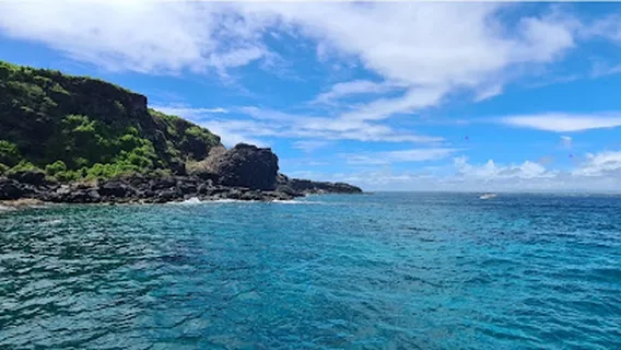 Croisières Australes
