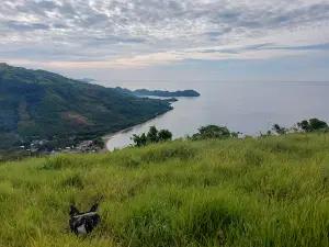 Puncak dunu