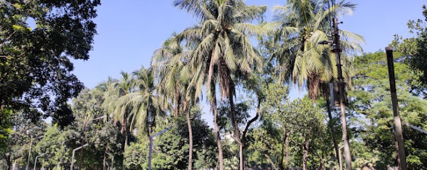 Gulistan Shaheed Matiur Park