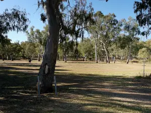 Passmore Reserve