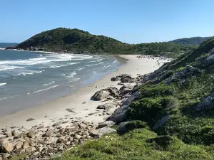 Praia de Leste/Pontal do Paraná-PR