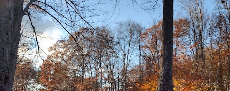Como Lake Park