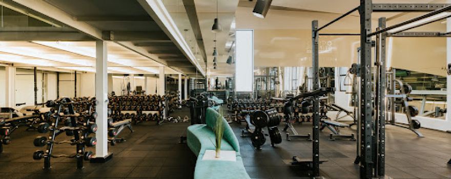 Health Club Perfect Body