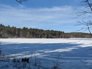 レオミンスター州立森林公園
