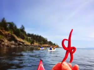 Discovery Sea Kayak Tours