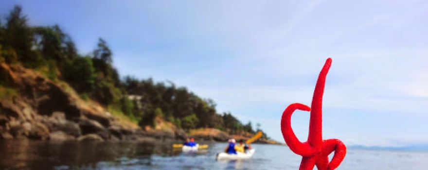 Discovery Sea Kayak Tours