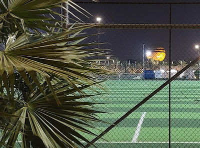 Al Oqailat Manakh Park