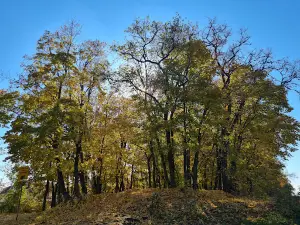 Park Kul'tury I Otdykha Botanika