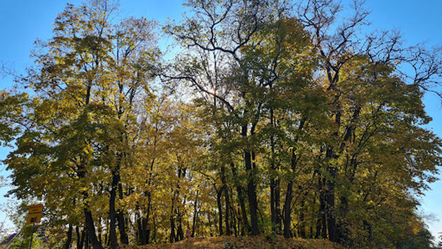 Park Kul'tury I Otdykha Botanika