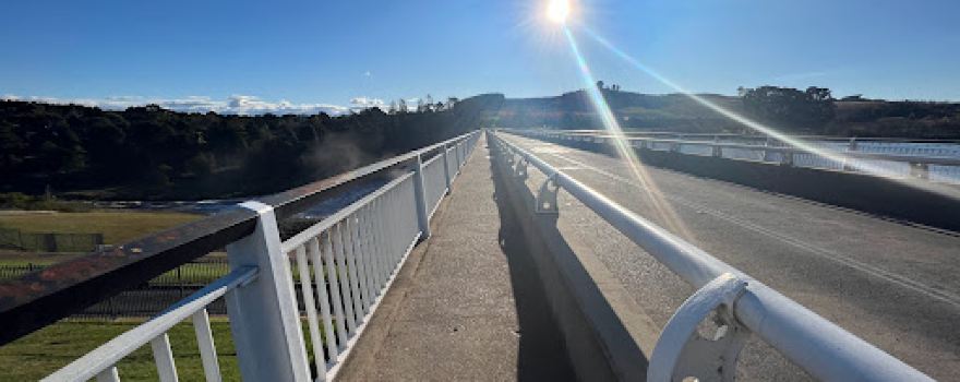 Scrivener Dam lookout