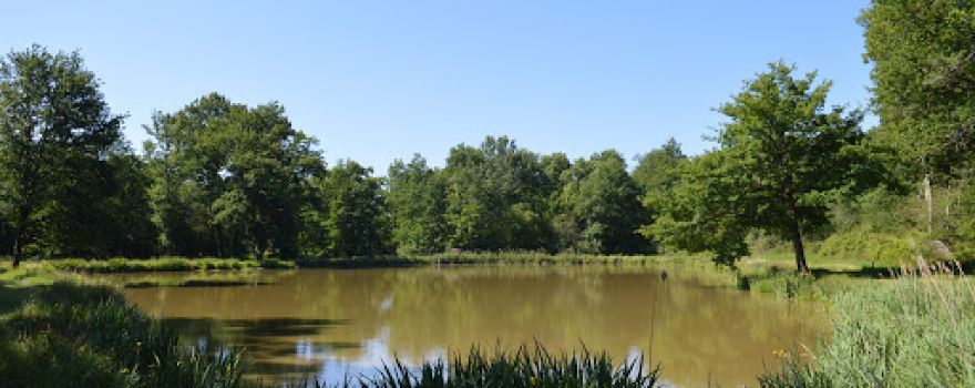 Le Domaine du Breuchet
