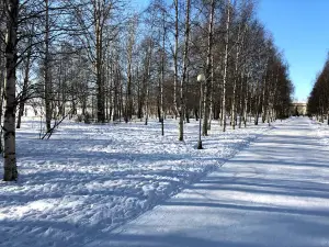 Парк "Майский"
