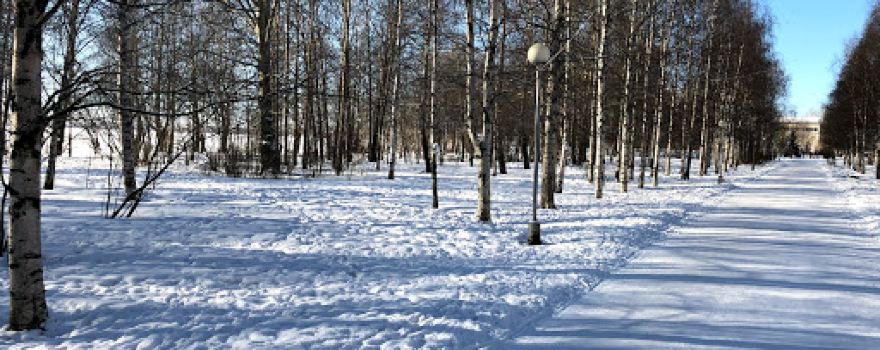 Park "Mayskiy"